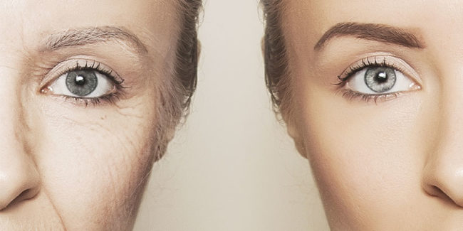Anti-Aging Anti-Aging