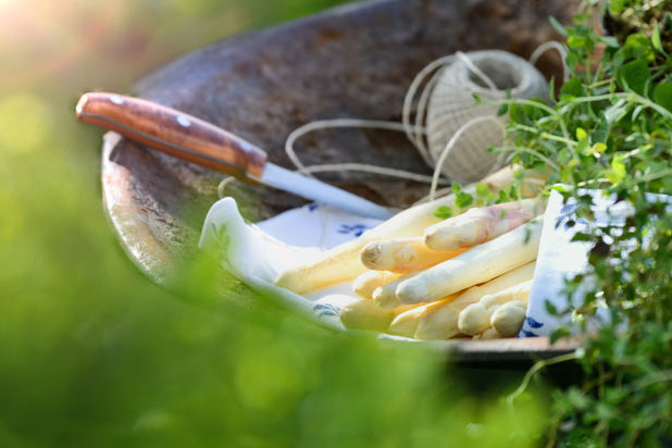 Spargel Spargel
