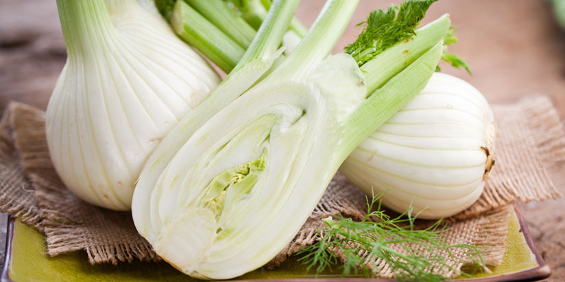 Fenchel-Nudeln Fenchel-Nudeln