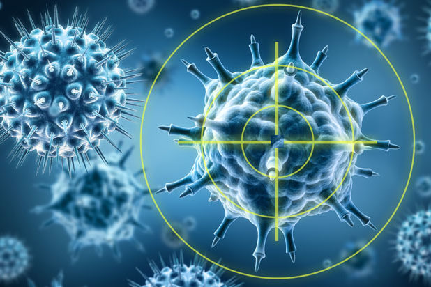 Immunsystem Immunsystem