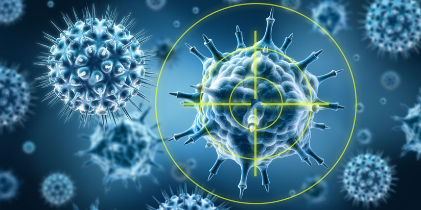 Immunsystem Immunsystem