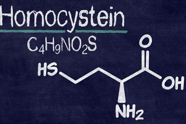 Homocystein