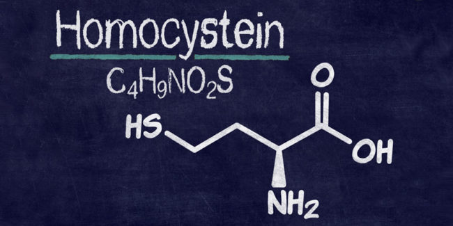 Homocystein