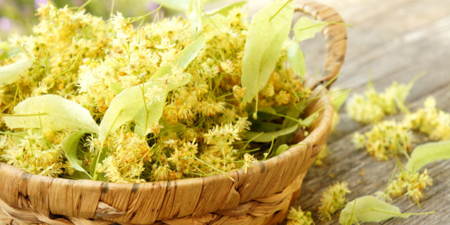 Lindenblüten