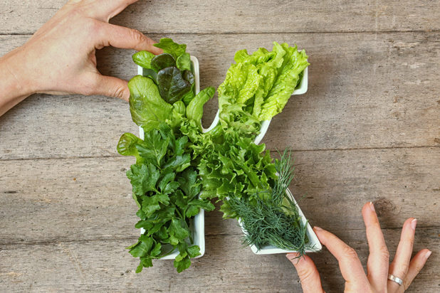 Vitamin K