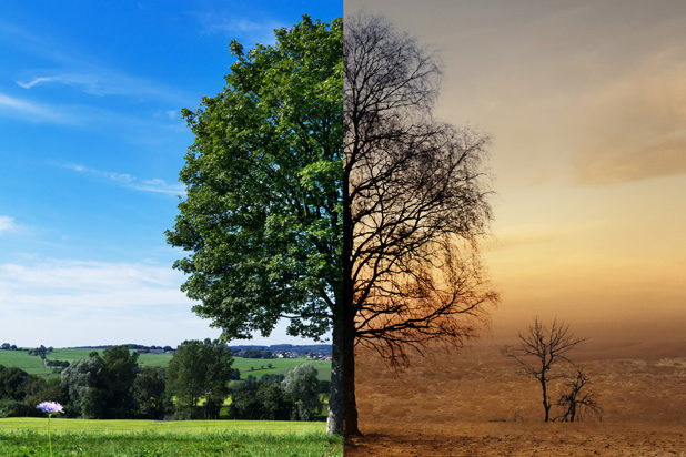 Klimawandel