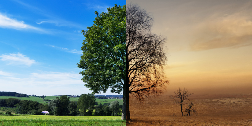 Klimawandel Klimawandel