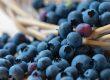 Heidelbeeren