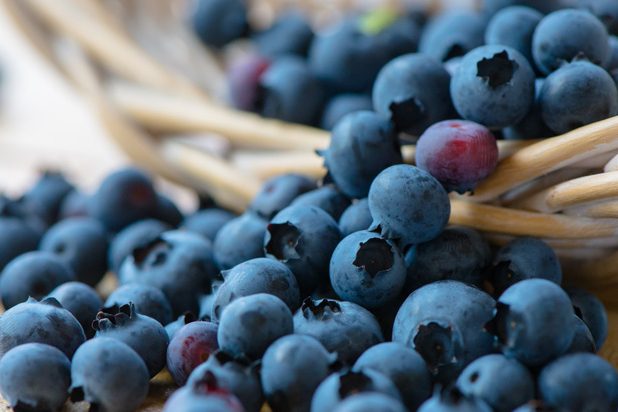 Heidelbeeren Heidelbeeren