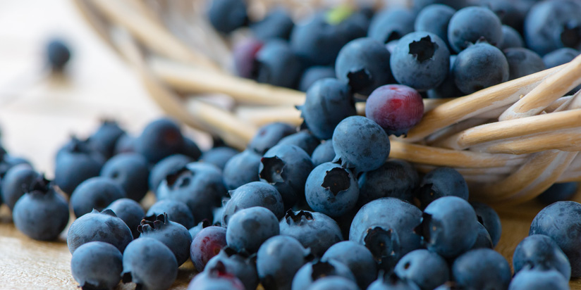 Heidelbeeren Heidelbeeren